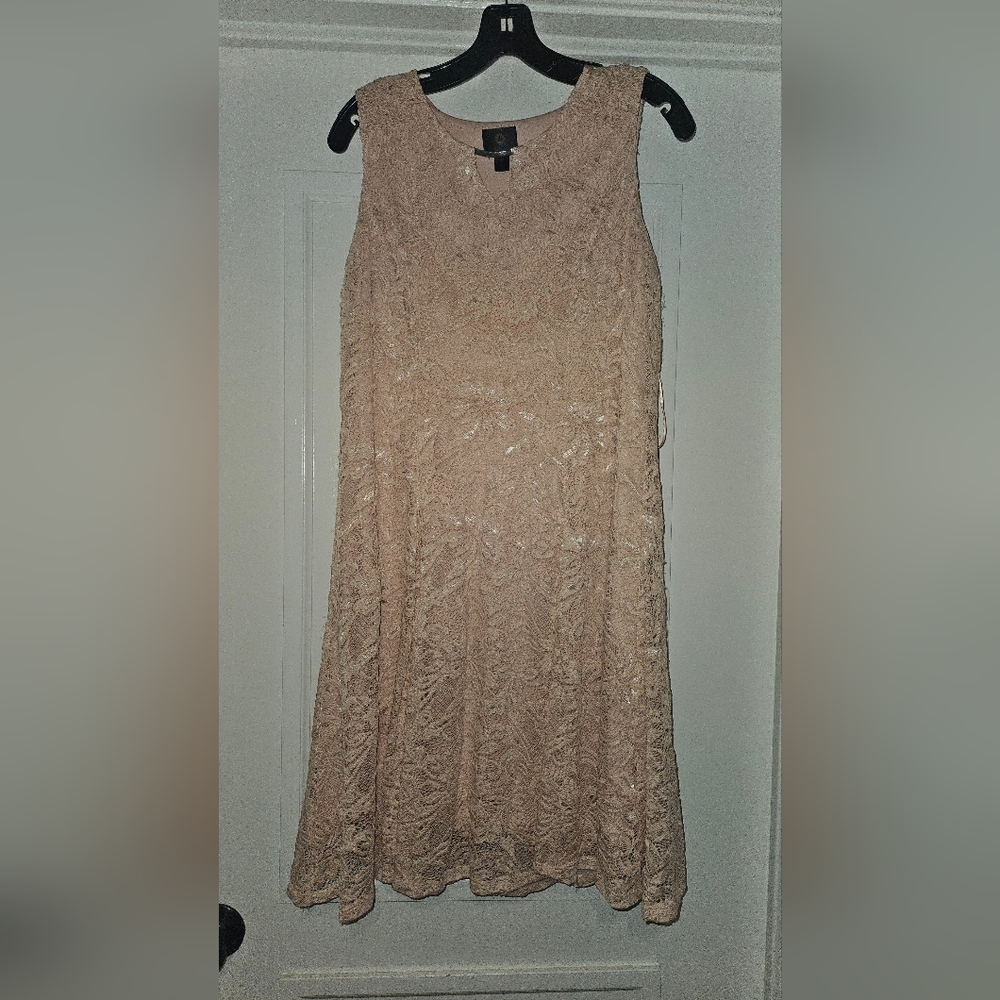 Elegant Lace Light Pink Dress